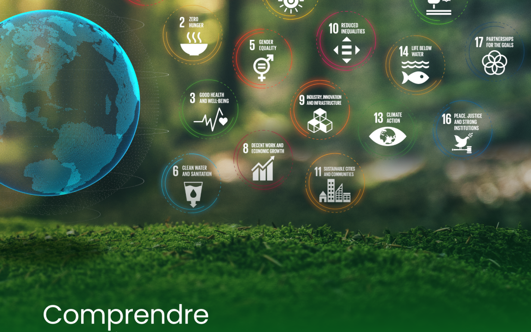 RSE en entreprise : levier de transformation ou simple case à cocher ?